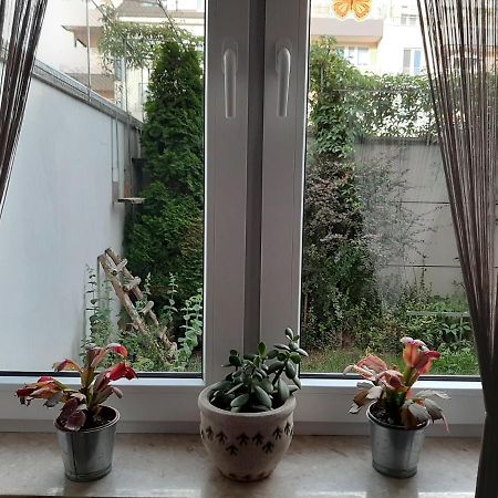 Apartament Di Trevi - Klimatyzacja Daire Wroclaw Dış mekan fotoğraf
